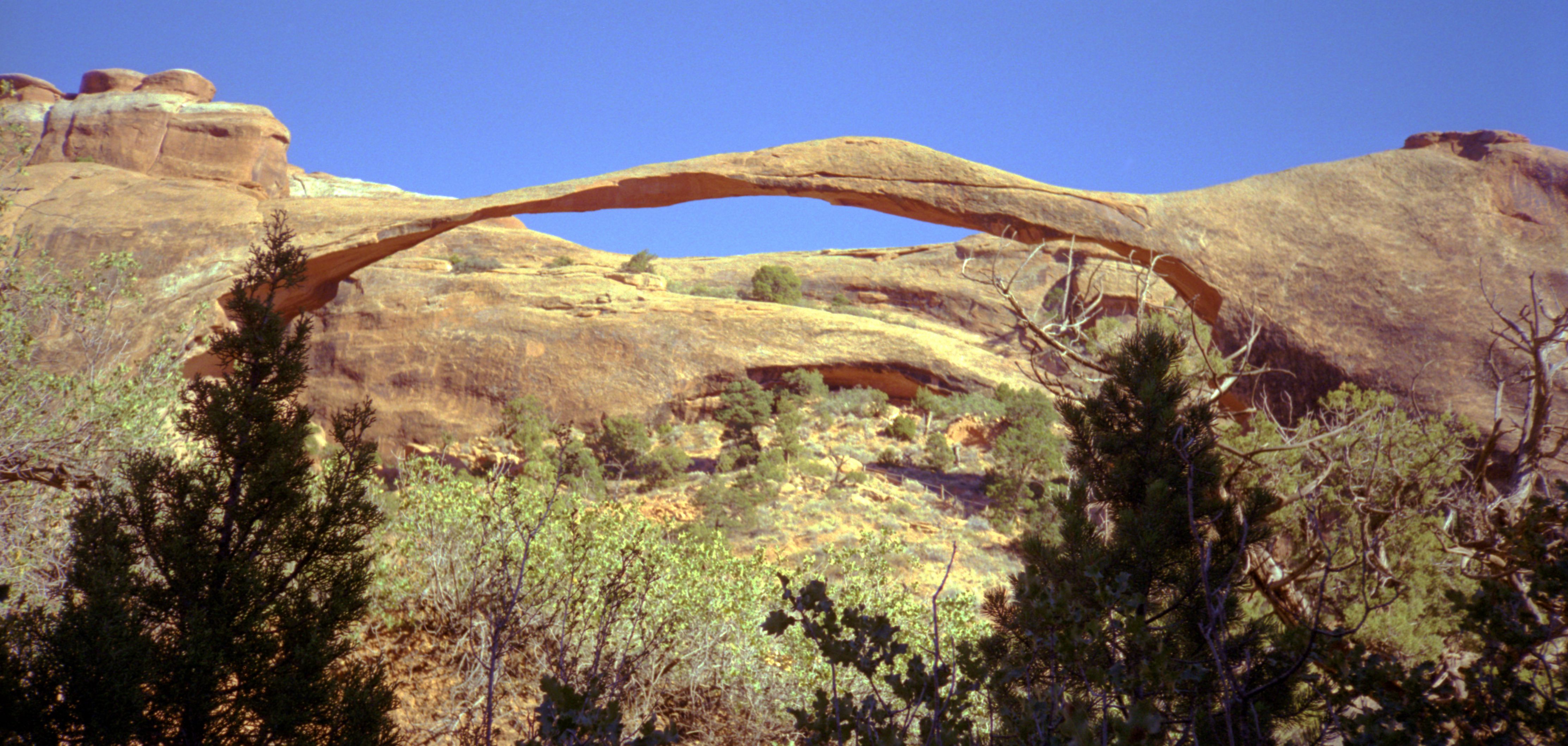 unl landscape arch